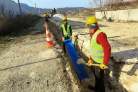 ae71dcb76a.jpg