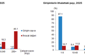 screenshot-2026-09-11-at-14-54-43-girisim-ozelliklerine-gore-dis-ticaret-istatistikleri-2025-veri-po.png