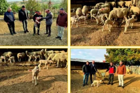 20261026-edirnede-genc-hayvancilik-ureticisine-destek-ziyareti-710548.webp.webp