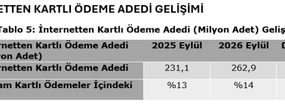 Türkiye’de Kartlı Ödemeler Yüzde 35 Artarak 2,9 Trilyon TL’yi Aştı